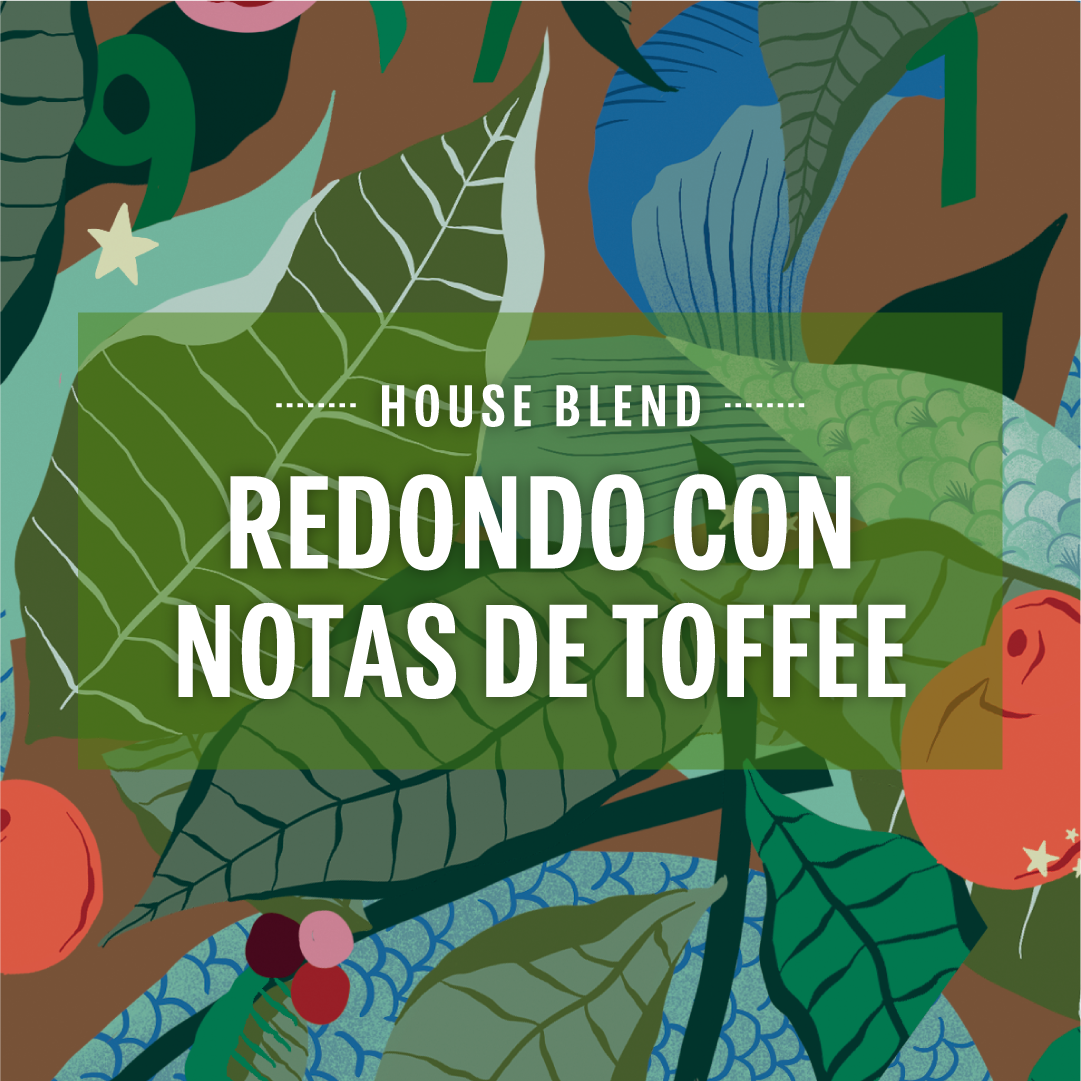 STARBUCKS® Nespresso® House Blend x 18u.